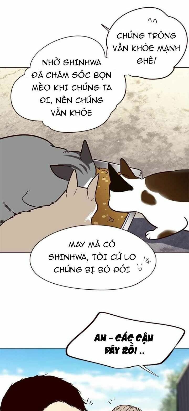 đọc truyện Hóa Thân Thành Mèo Chương 100 ảnh 13 tại Thiên Thai Truyện