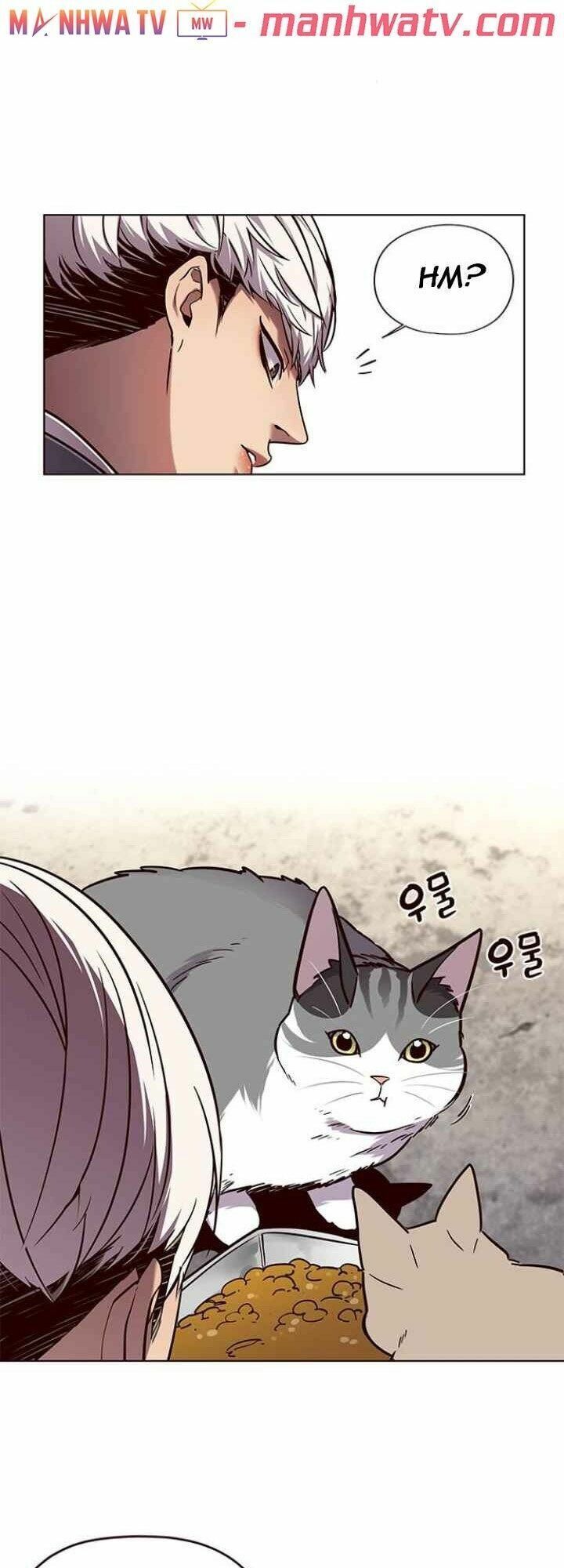 đọc truyện Hóa Thân Thành Mèo Chương 100 ảnh 17 tại Thiên Thai Truyện