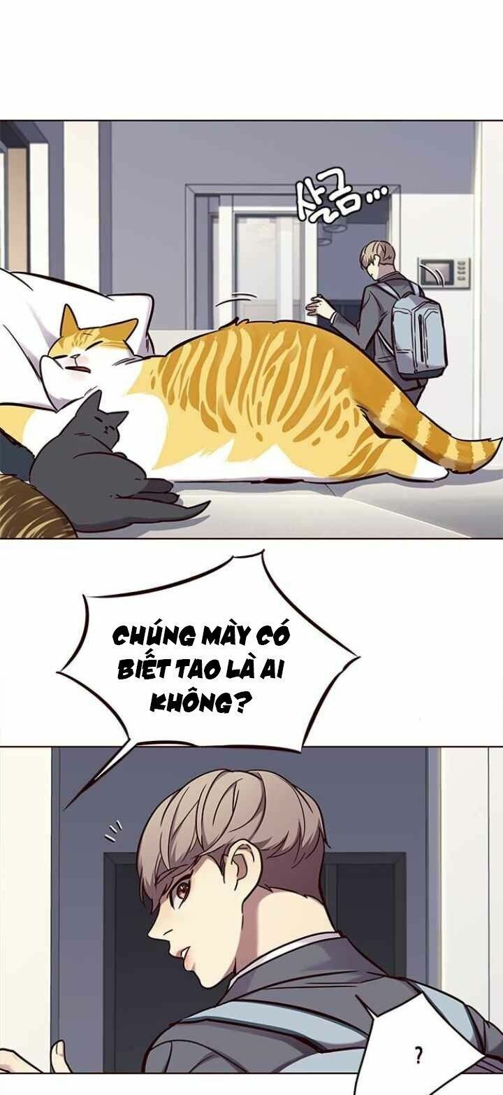 đọc truyện Hóa Thân Thành Mèo Chương 100 ảnh 6 tại Thiên Thai Truyện