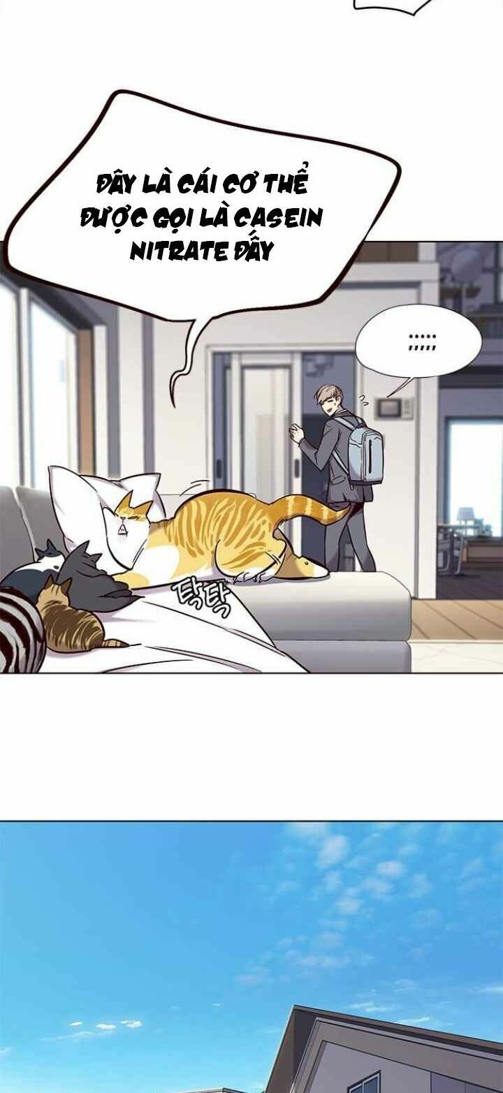 đọc truyện Hóa Thân Thành Mèo Chương 100 ảnh 7 tại Thiên Thai Truyện