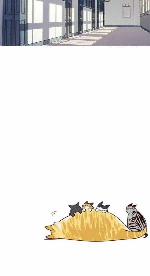 đọc truyện Hóa Thân Thành Mèo Chương 100 ảnh 56 tại Thiên Thai Truyện