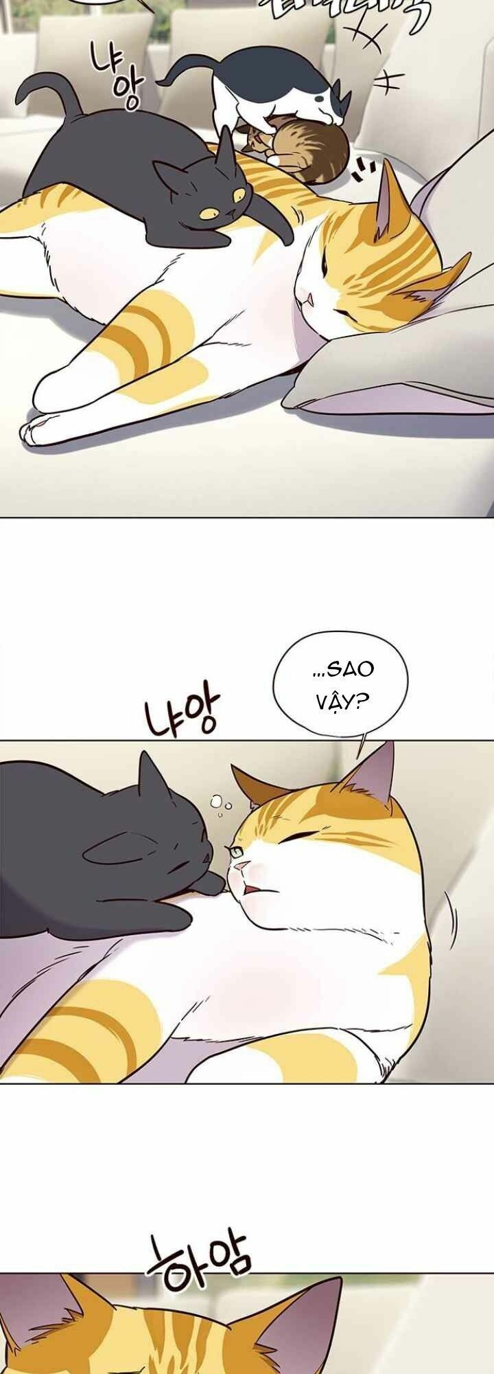 đọc truyện Hóa Thân Thành Mèo Chương 101 ảnh 6 tại Thiên Thai Truyện