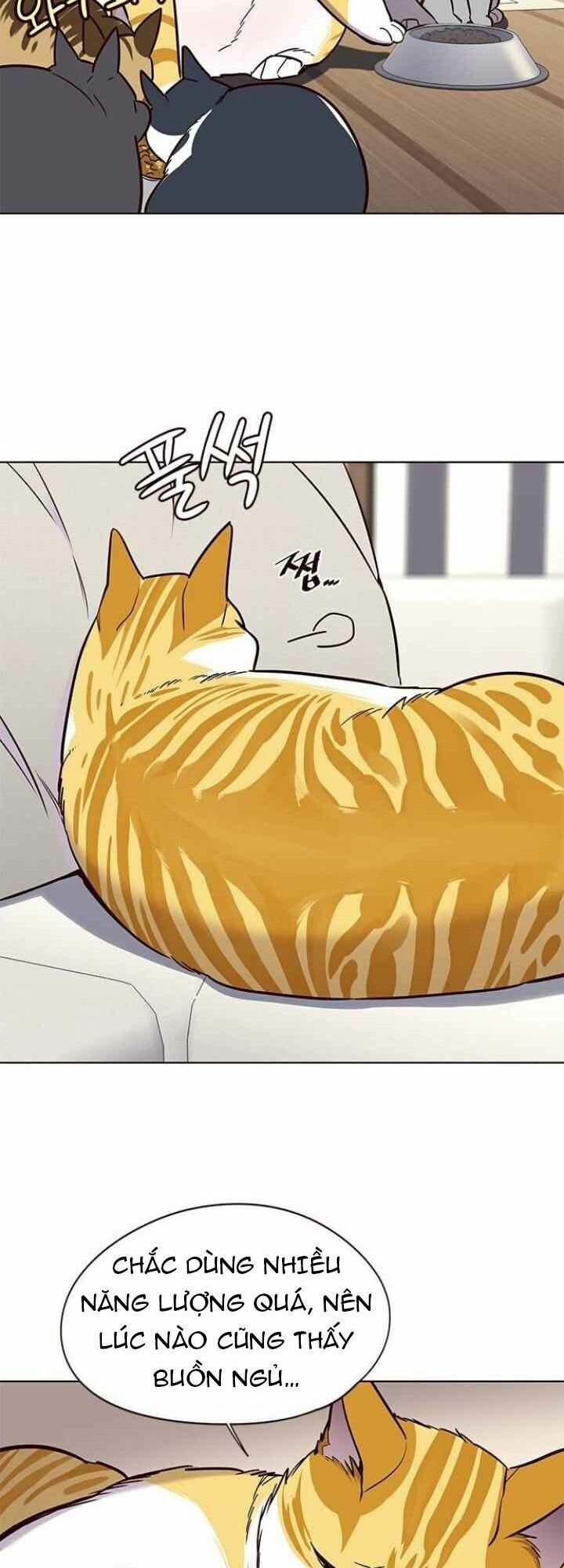 đọc truyện Hóa Thân Thành Mèo Chương 101 ảnh 9 tại Thiên Thai Truyện