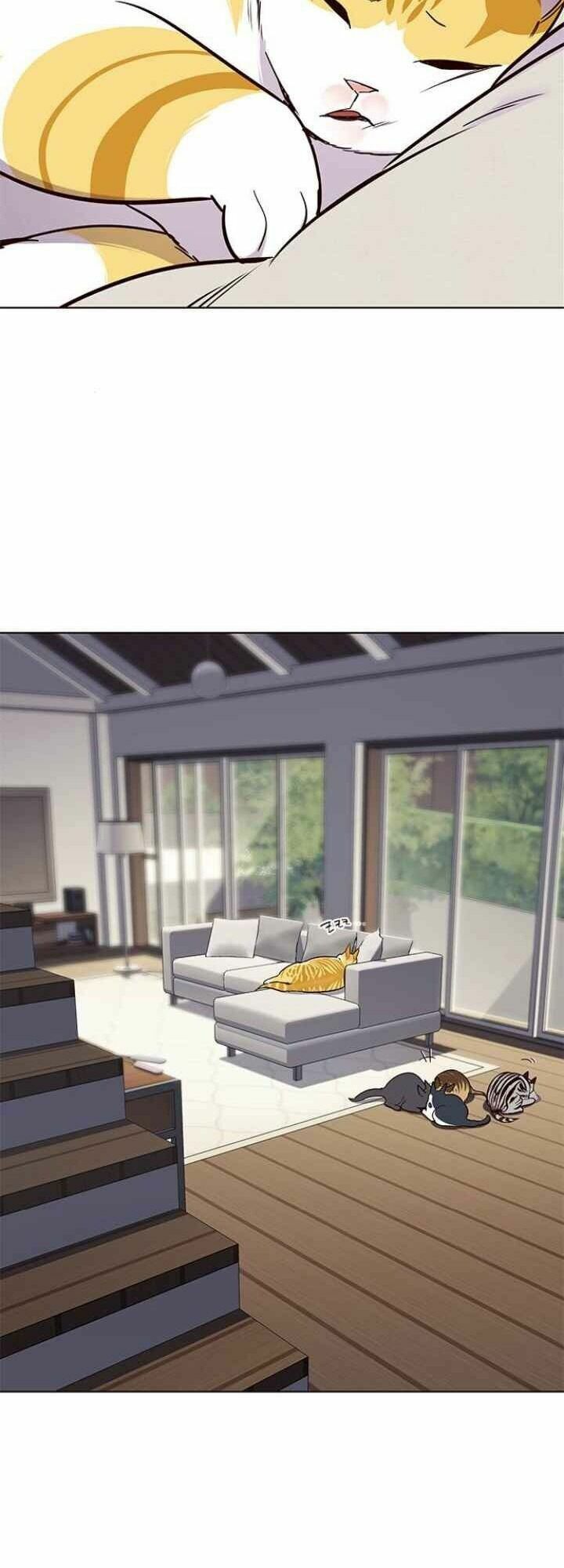 đọc truyện Hóa Thân Thành Mèo Chương 101 ảnh 10 tại Thiên Thai Truyện