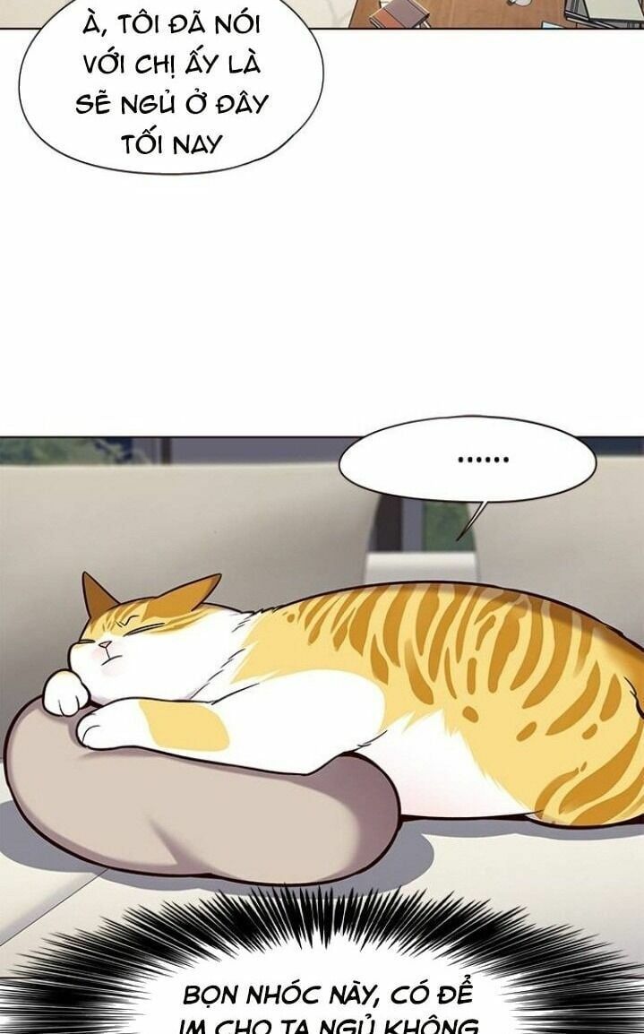 đọc truyện Hóa Thân Thành Mèo Chương 102 ảnh 47 tại Thiên Thai Truyện