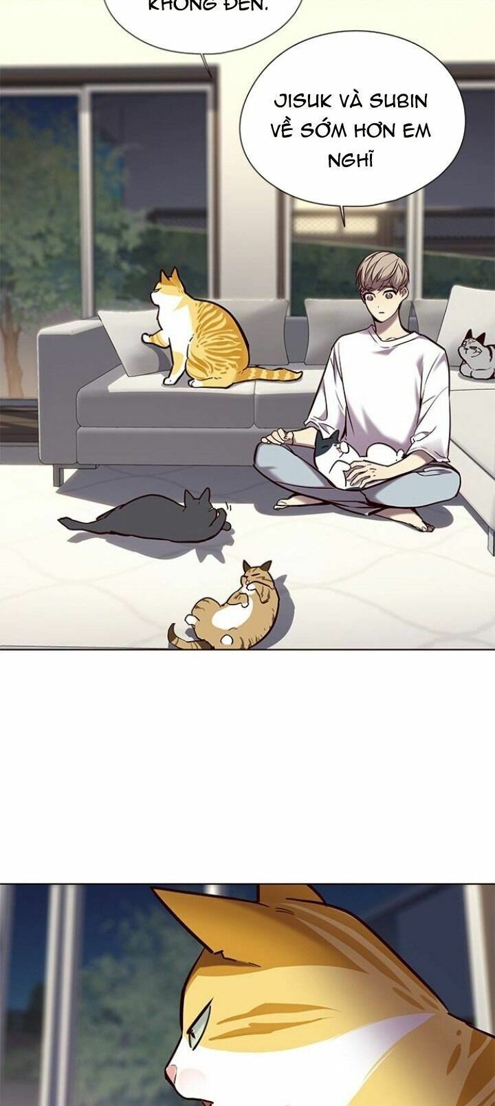 đọc truyện Hóa Thân Thành Mèo Chương 104 ảnh 73 tại Thiên Thai Truyện