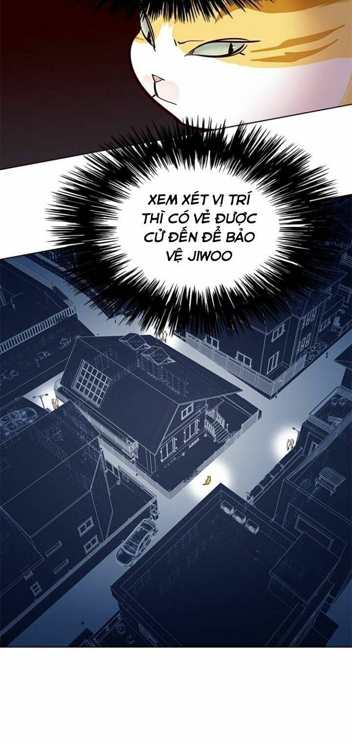 đọc truyện Hóa Thân Thành Mèo Chương 105 ảnh 12 tại Thiên Thai Truyện