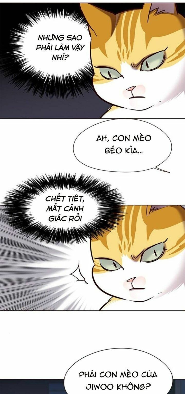 đọc truyện Hóa Thân Thành Mèo Chương 105 ảnh 13 tại Thiên Thai Truyện