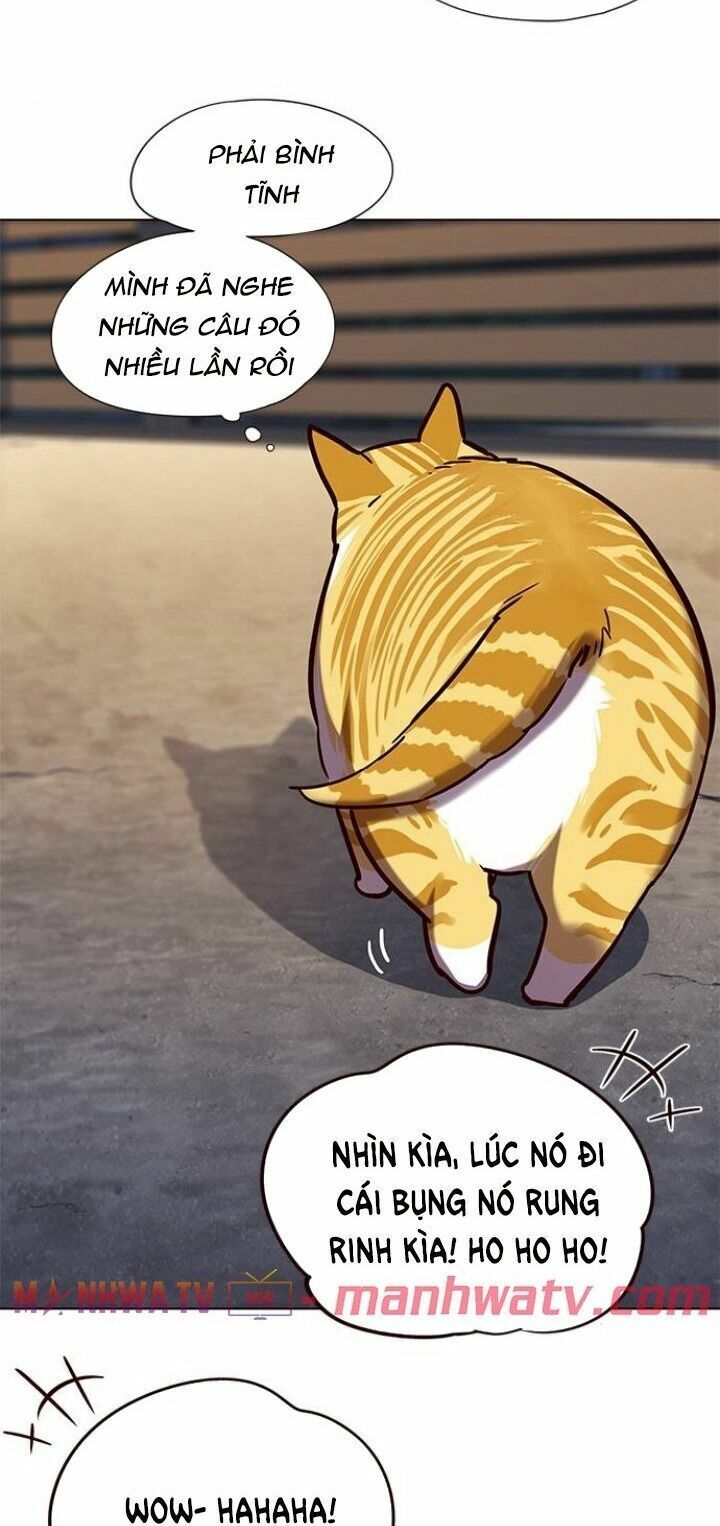 đọc truyện Hóa Thân Thành Mèo Chương 105 ảnh 15 tại Thiên Thai Truyện