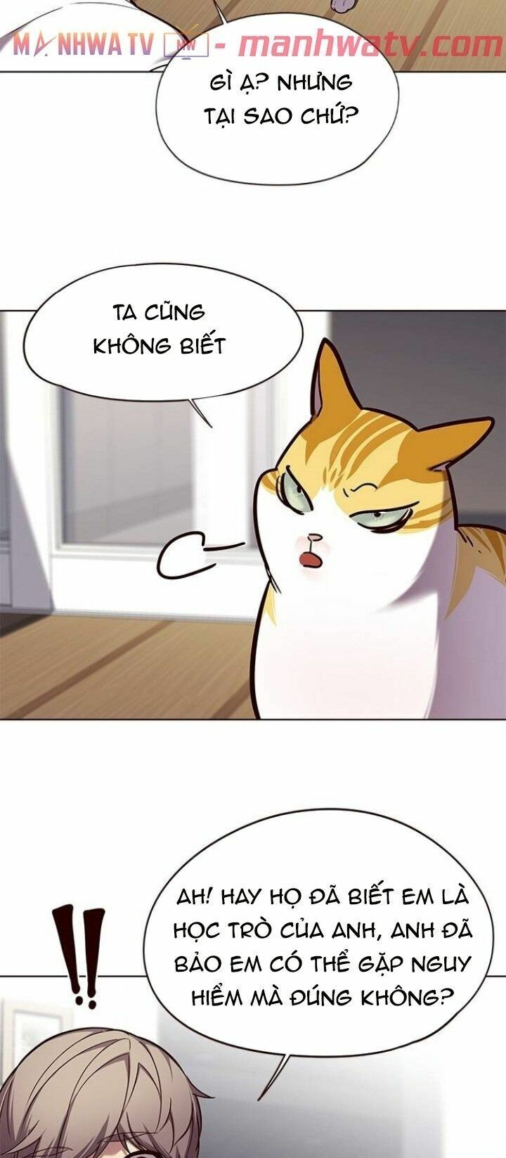 đọc truyện Hóa Thân Thành Mèo Chương 105 ảnh 18 tại Thiên Thai Truyện