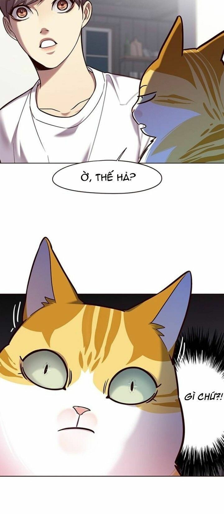 đọc truyện Hóa Thân Thành Mèo Chương 105 ảnh 19 tại Thiên Thai Truyện