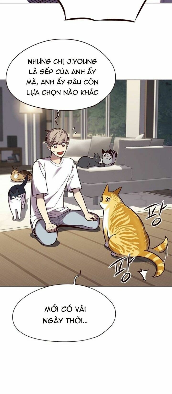 đọc truyện Hóa Thân Thành Mèo Chương 105 ảnh 21 tại Thiên Thai Truyện