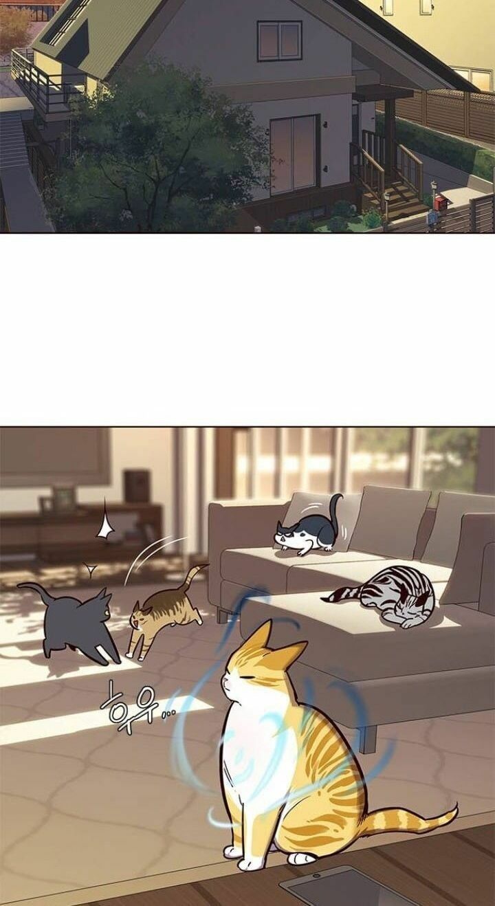 đọc truyện Hóa Thân Thành Mèo Chương 106 ảnh 49 tại Thiên Thai Truyện