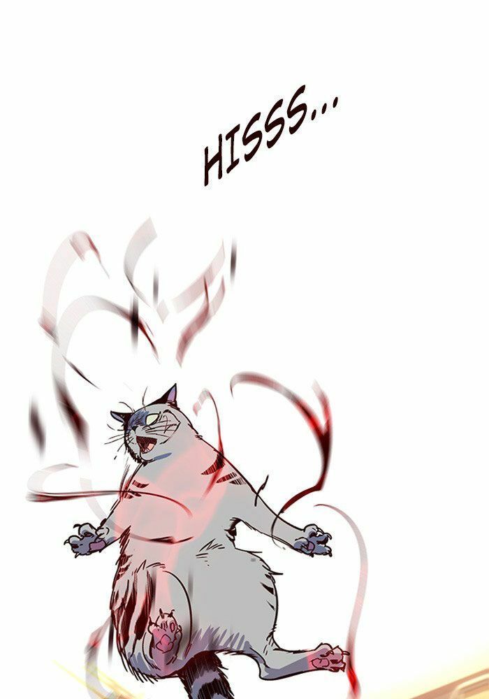 đọc truyện Hóa Thân Thành Mèo Chương 11 ảnh 121 tại Thiên Thai Truyện