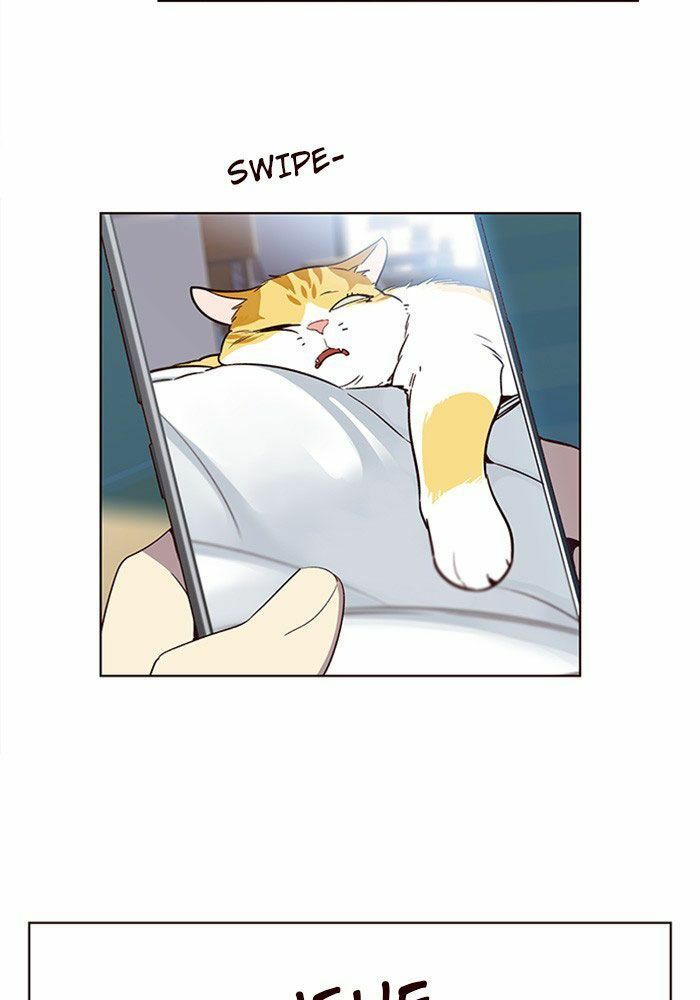 đọc truyện Hóa Thân Thành Mèo Chương 11 ảnh 24 tại Thiên Thai Truyện