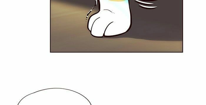 đọc truyện Hóa Thân Thành Mèo Chương 11 ảnh 31 tại Thiên Thai Truyện