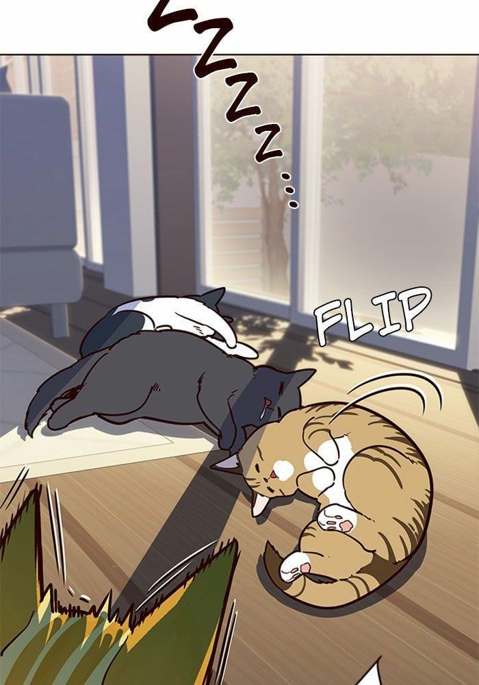 đọc truyện Hóa Thân Thành Mèo Chương 11 ảnh 39 tại Thiên Thai Truyện