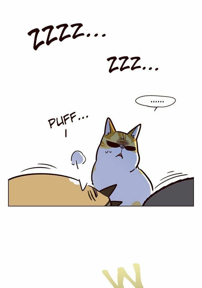 đọc truyện Hóa Thân Thành Mèo Chương 11 ảnh 41 tại Thiên Thai Truyện