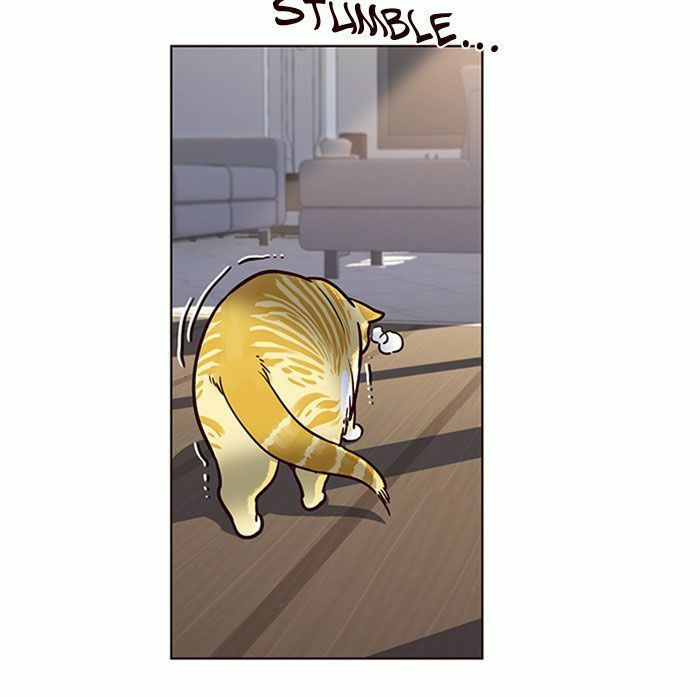 đọc truyện Hóa Thân Thành Mèo Chương 11 ảnh 46 tại Thiên Thai Truyện