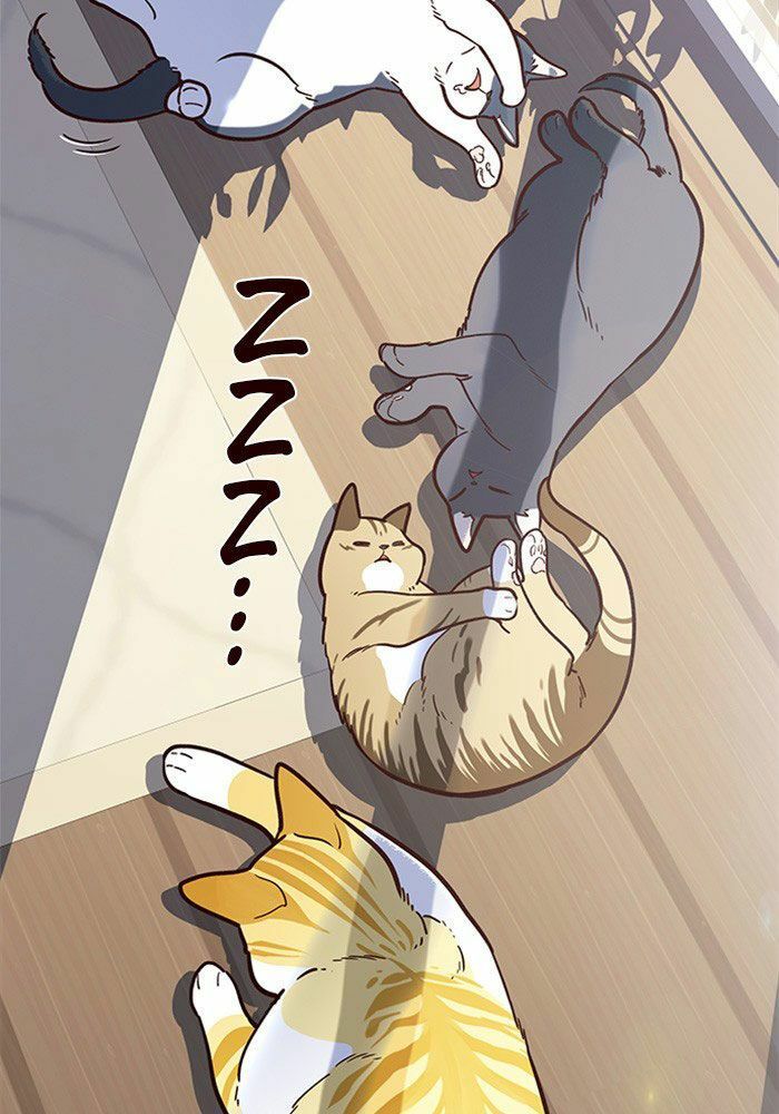 đọc truyện Hóa Thân Thành Mèo Chương 11 ảnh 51 tại Thiên Thai Truyện