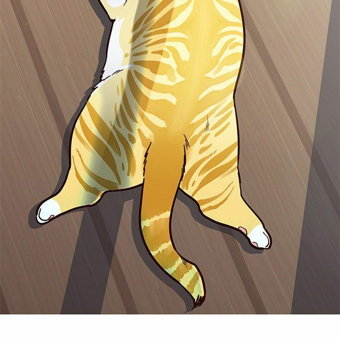 đọc truyện Hóa Thân Thành Mèo Chương 11 ảnh 52 tại Thiên Thai Truyện