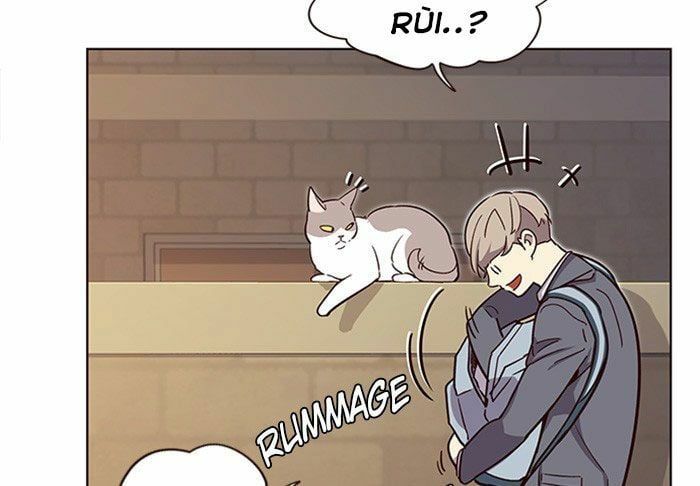 đọc truyện Hóa Thân Thành Mèo Chương 11 ảnh 55 tại Thiên Thai Truyện