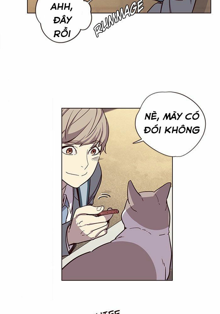 đọc truyện Hóa Thân Thành Mèo Chương 11 ảnh 56 tại Thiên Thai Truyện