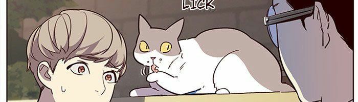 đọc truyện Hóa Thân Thành Mèo Chương 11 ảnh 64 tại Thiên Thai Truyện