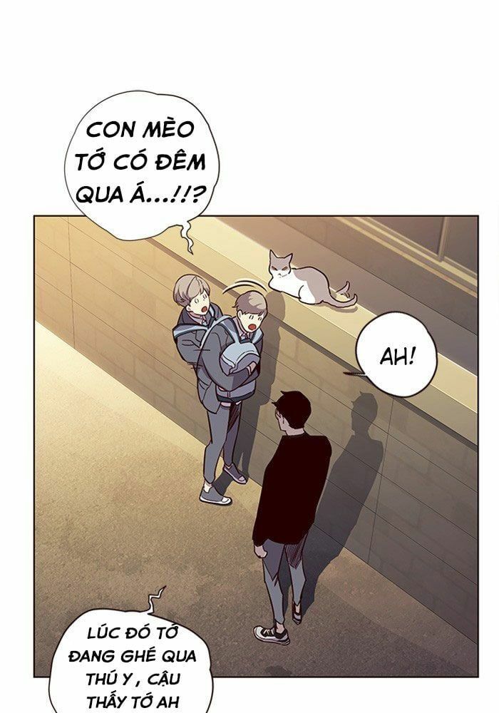 đọc truyện Hóa Thân Thành Mèo Chương 11 ảnh 67 tại Thiên Thai Truyện