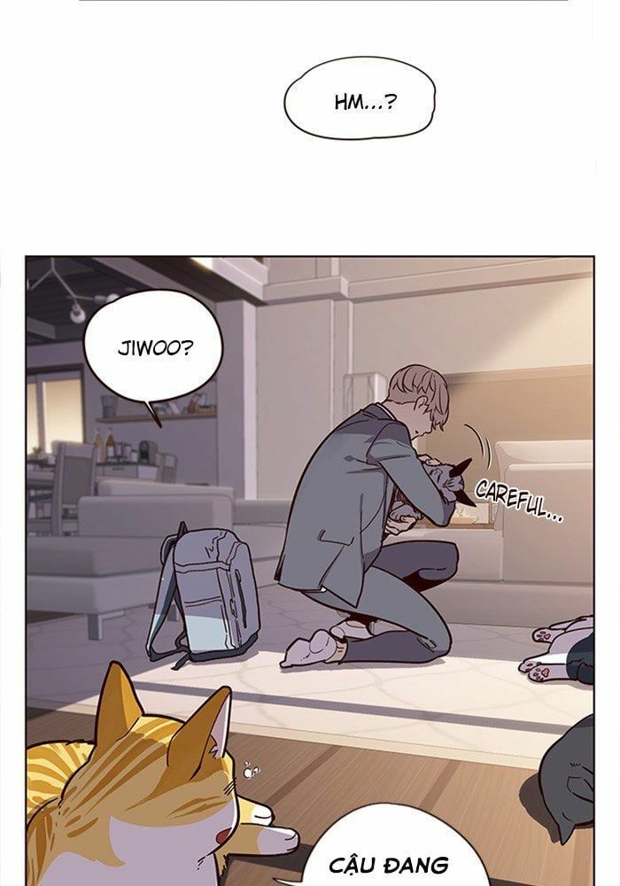 đọc truyện Hóa Thân Thành Mèo Chương 11 ảnh 80 tại Thiên Thai Truyện