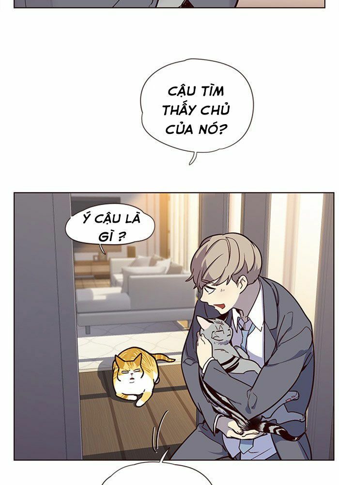 đọc truyện Hóa Thân Thành Mèo Chương 11 ảnh 82 tại Thiên Thai Truyện