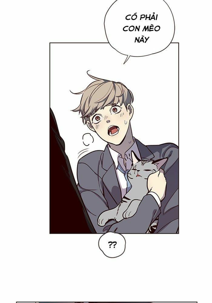 đọc truyện Hóa Thân Thành Mèo Chương 11 ảnh 88 tại Thiên Thai Truyện