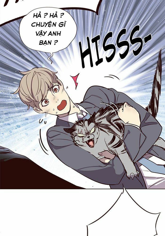 đọc truyện Hóa Thân Thành Mèo Chương 11 ảnh 95 tại Thiên Thai Truyện