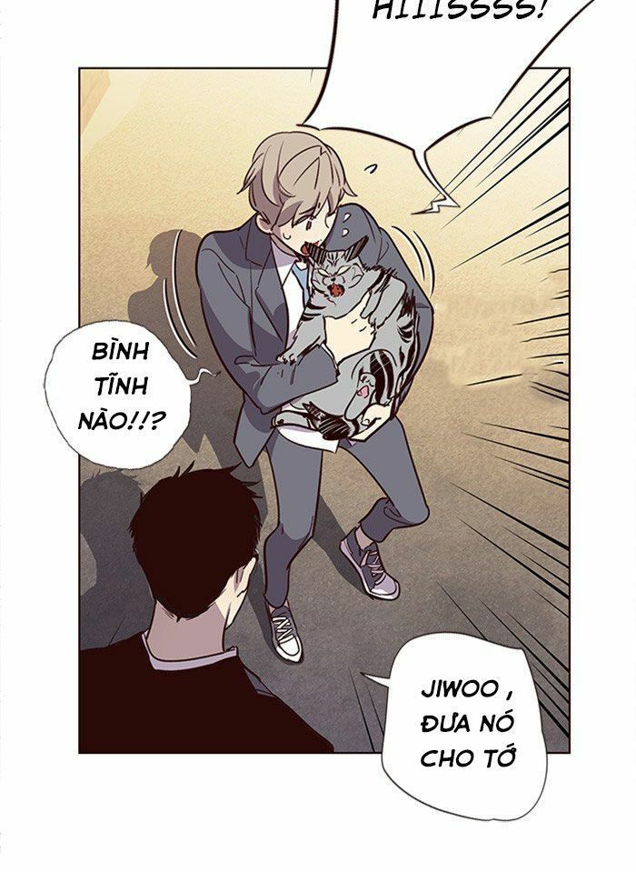 đọc truyện Hóa Thân Thành Mèo Chương 11 ảnh 96 tại Thiên Thai Truyện