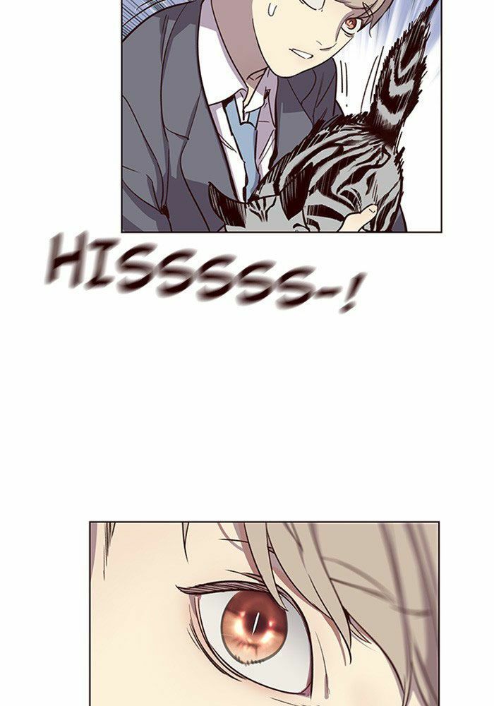 đọc truyện Hóa Thân Thành Mèo Chương 11 ảnh 100 tại Thiên Thai Truyện