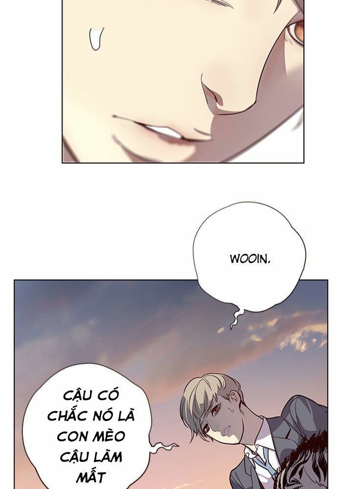 đọc truyện Hóa Thân Thành Mèo Chương 11 ảnh 101 tại Thiên Thai Truyện