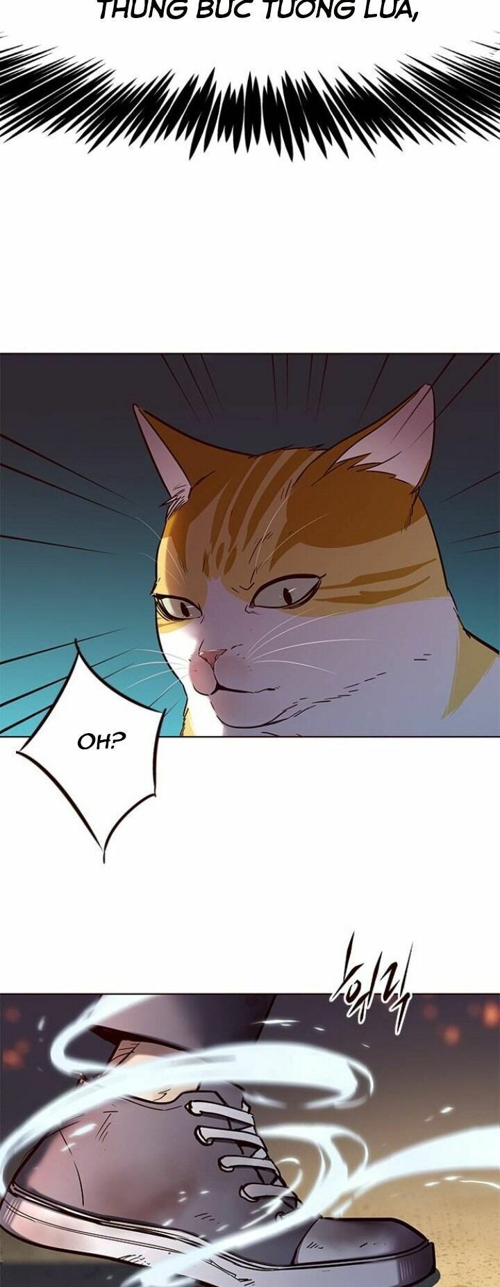 đọc truyện Hóa Thân Thành Mèo Chương 110 ảnh 51 tại Thiên Thai Truyện