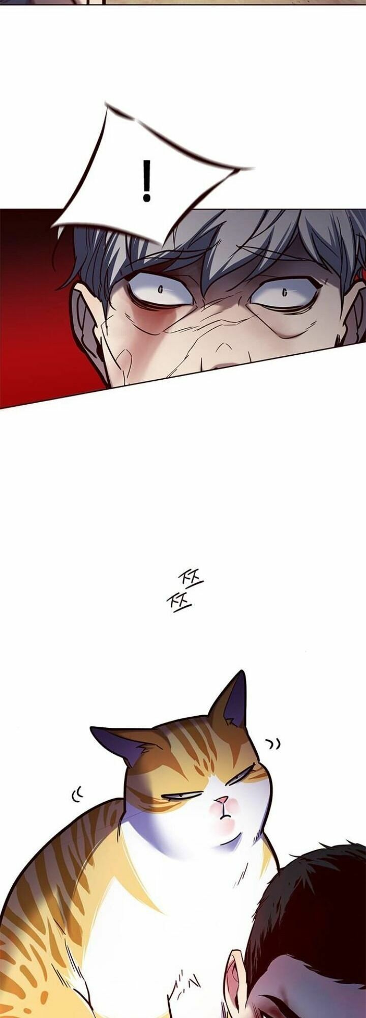 đọc truyện Hóa Thân Thành Mèo Chương 112 ảnh 62 tại Thiên Thai Truyện