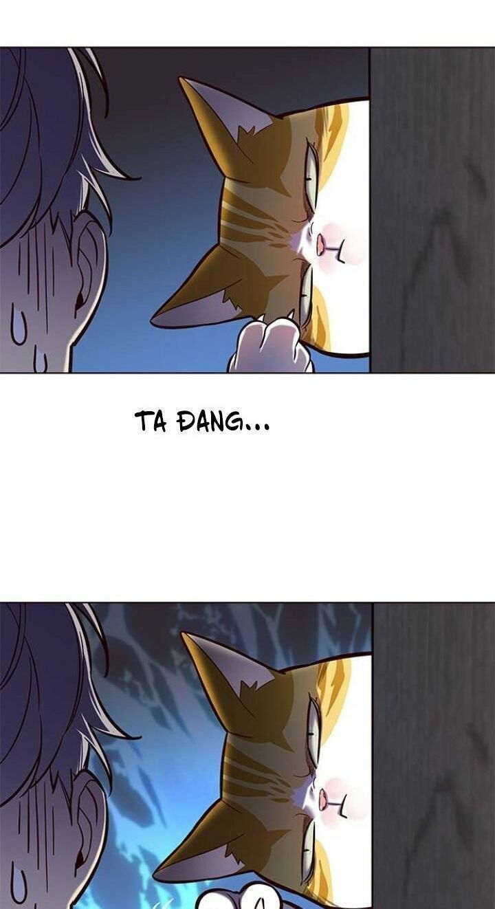 đọc truyện Hóa Thân Thành Mèo Chương 112 ảnh 73 tại Thiên Thai Truyện