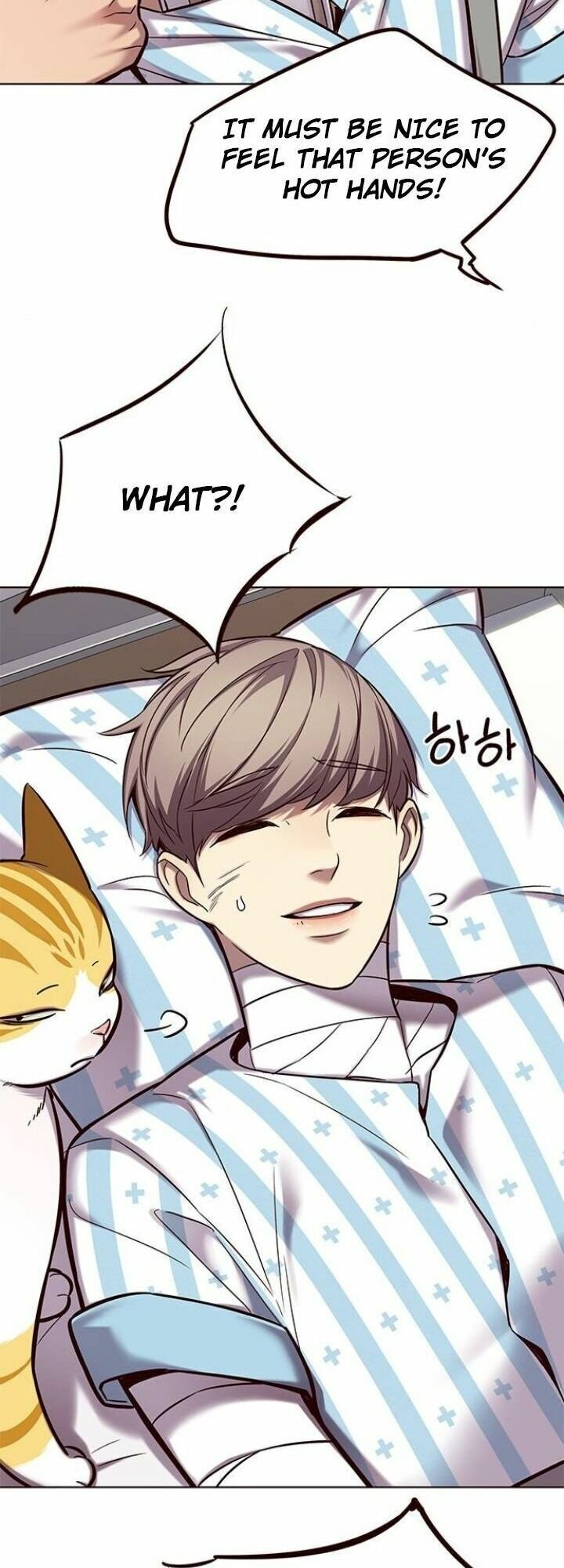 đọc truyện Hóa Thân Thành Mèo Chương 113 ảnh 40 tại Thiên Thai Truyện