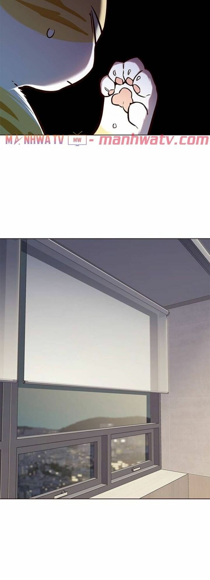 đọc truyện Hóa Thân Thành Mèo Chương 113 ảnh 47 tại Thiên Thai Truyện