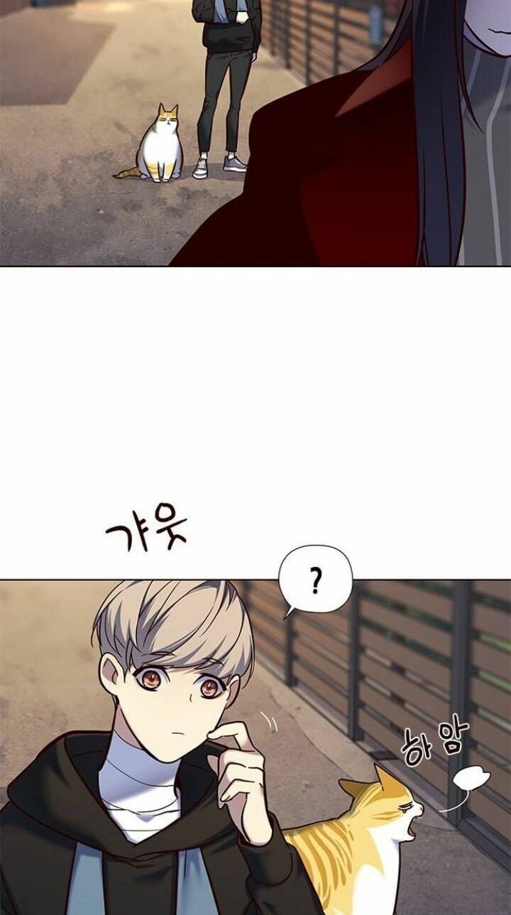 đọc truyện Hóa Thân Thành Mèo Chương 115 ảnh 67 tại Thiên Thai Truyện