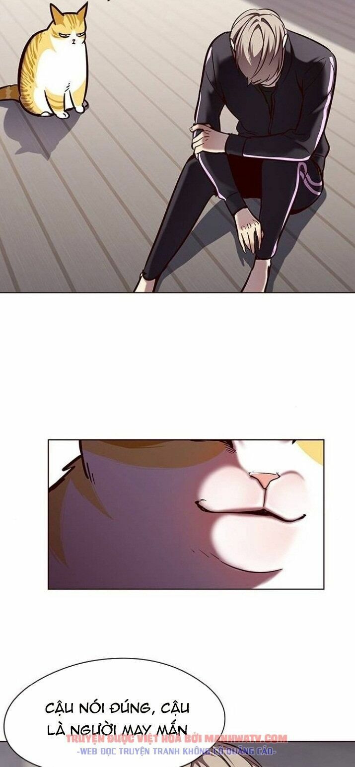 đọc truyện Hóa Thân Thành Mèo Chương 116 ảnh 19 tại Thiên Thai Truyện