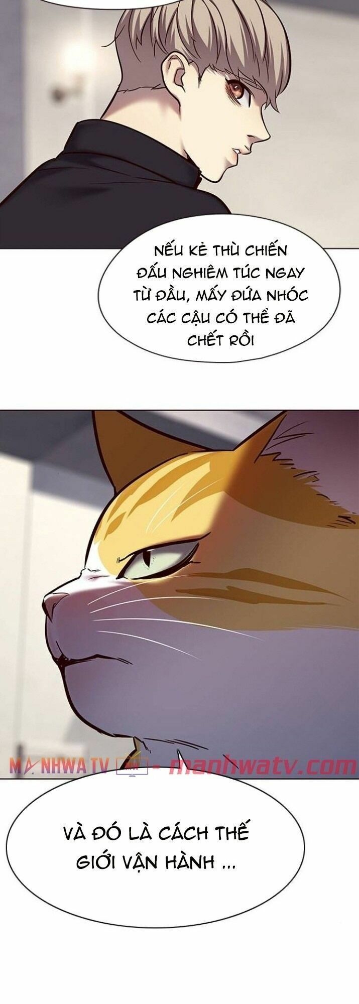 đọc truyện Hóa Thân Thành Mèo Chương 116 ảnh 20 tại Thiên Thai Truyện