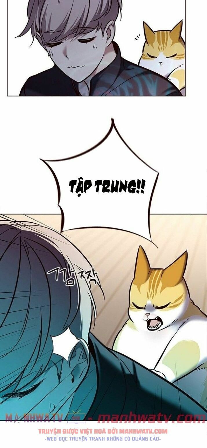 đọc truyện Hóa Thân Thành Mèo Chương 116 ảnh 27 tại Thiên Thai Truyện