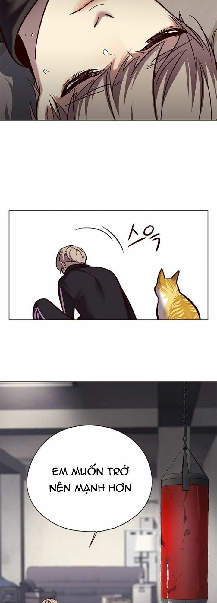 đọc truyện Hóa Thân Thành Mèo Chương 116 ảnh 8 tại Thiên Thai Truyện