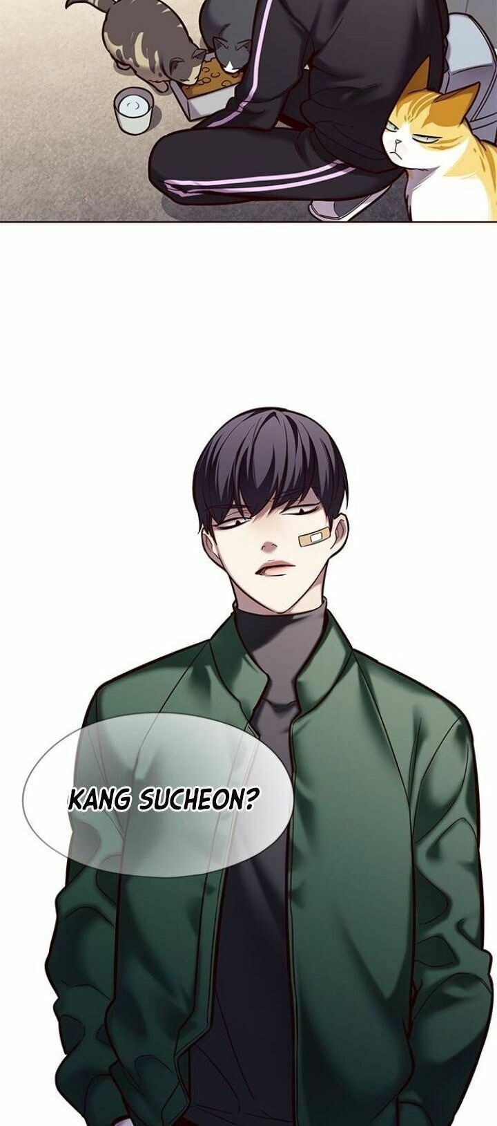 đọc truyện Hóa Thân Thành Mèo Chương 117 ảnh 13 tại Thiên Thai Truyện