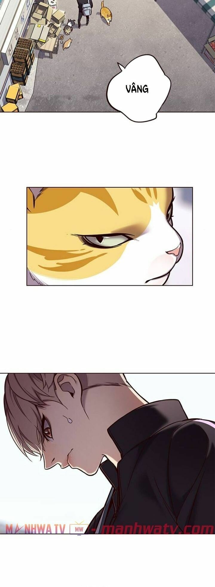 đọc truyện Hóa Thân Thành Mèo Chương 117 ảnh 34 tại Thiên Thai Truyện