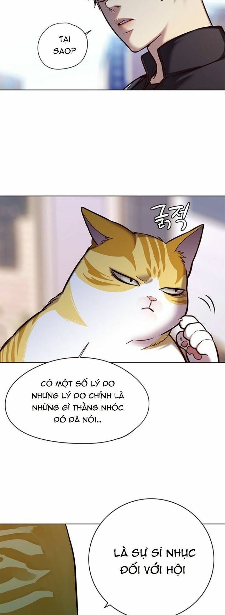 đọc truyện Hóa Thân Thành Mèo Chương 117 ảnh 36 tại Thiên Thai Truyện