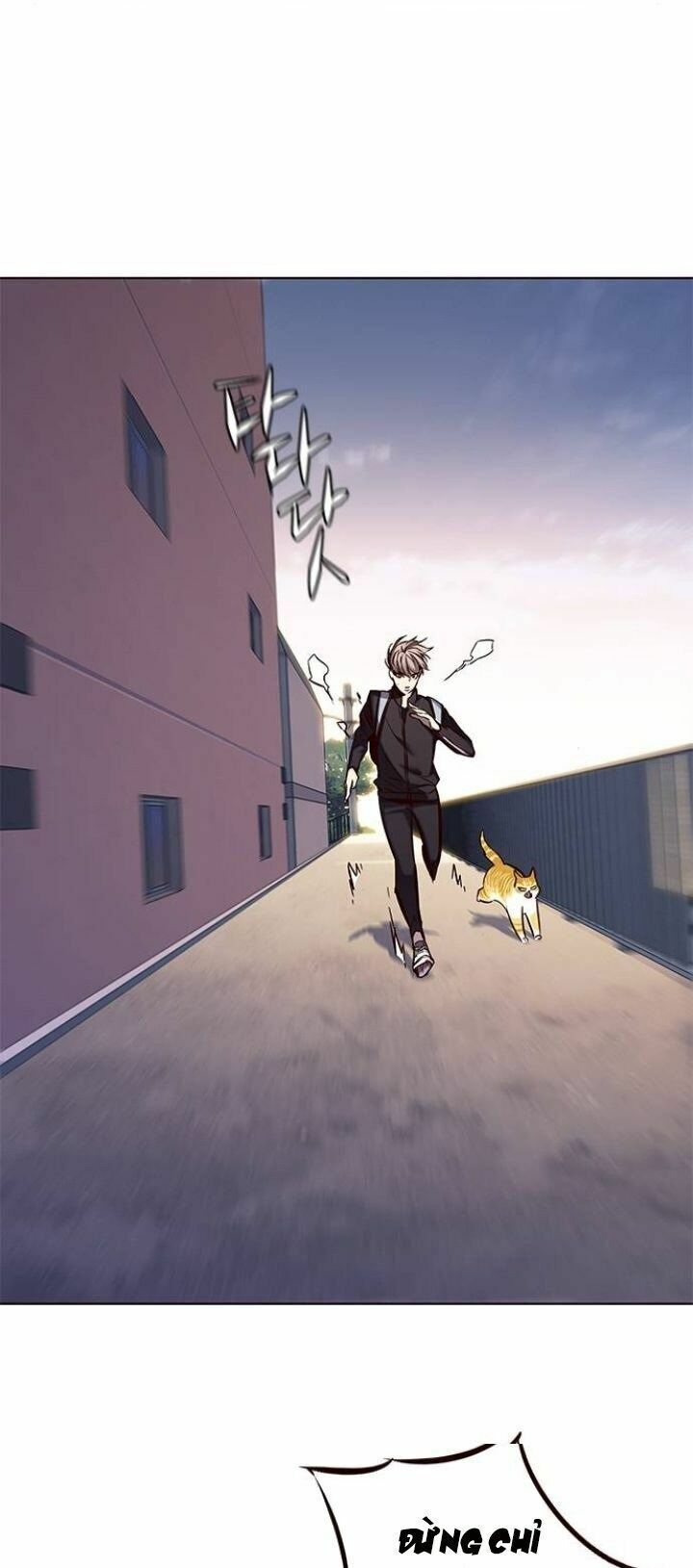 đọc truyện Hóa Thân Thành Mèo Chương 117 ảnh 6 tại Thiên Thai Truyện